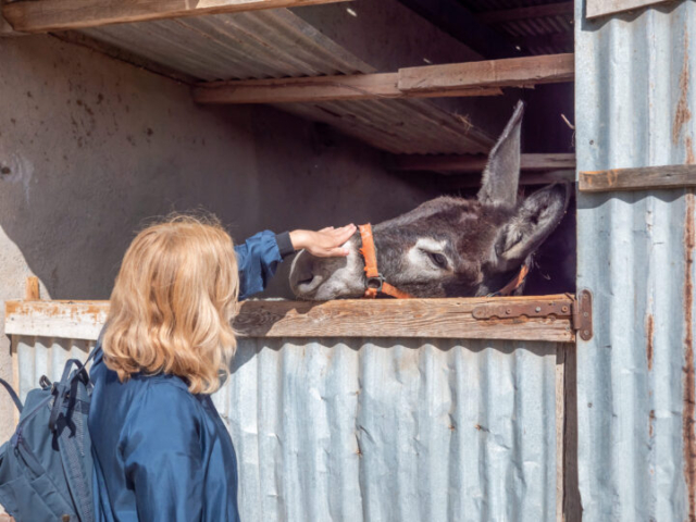 Santorini Island ZDF Documentary_WP1577635